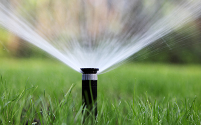 Sprinklers Sprinklers