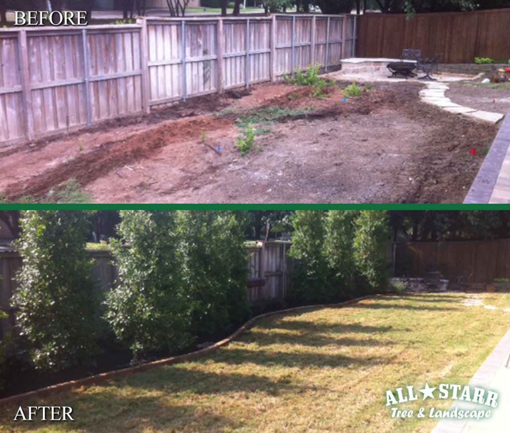 before-after backyard