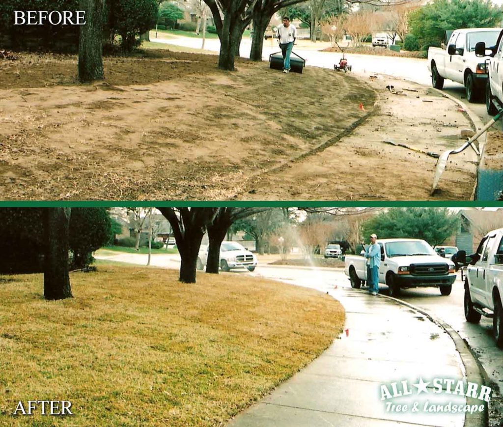 before-after lawn