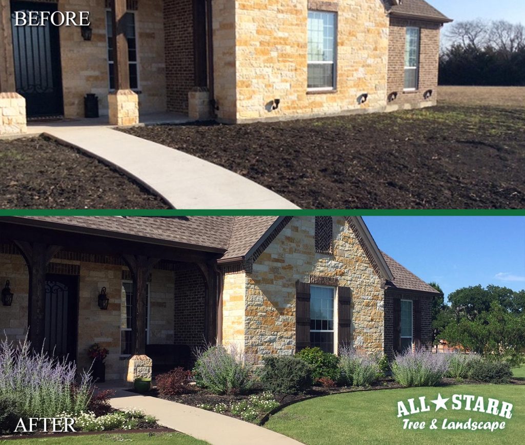 before-after