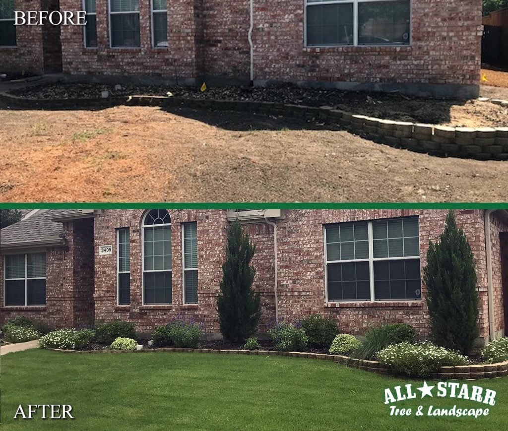 before-after