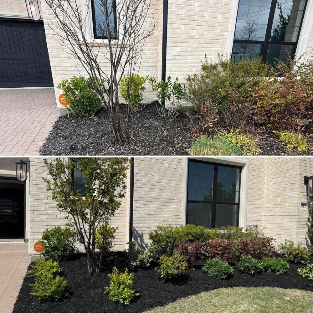 Landscaping Landscaping