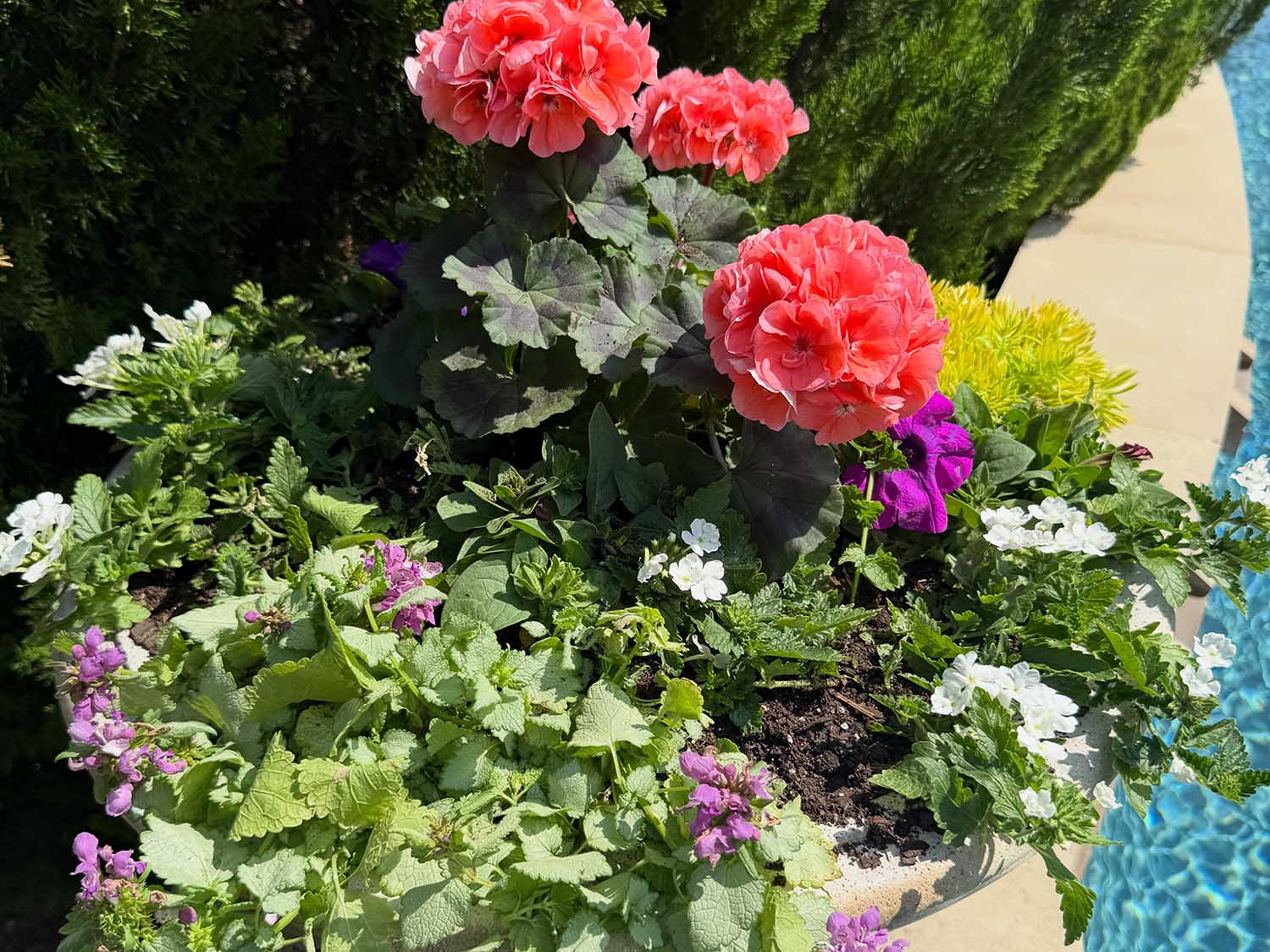 Landscaping Services