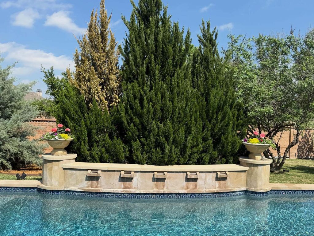 Tree Services